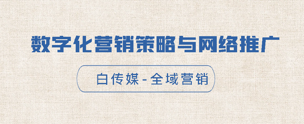 數(shù)字化營銷策略與網(wǎng)絡(luò)推廣