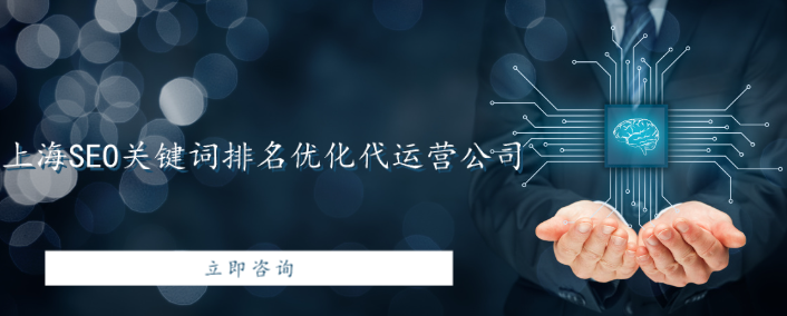 上海SEO關(guān)鍵詞排名優(yōu)化代運營公司