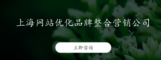 上海網(wǎng)站優(yōu)化品牌整合營銷公司