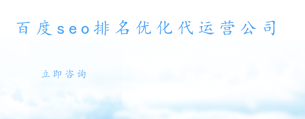 百度seo排名優化代運營公司