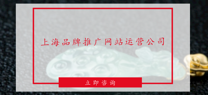 上海品牌推廣網站運營公司