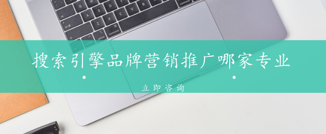 搜索引擎品牌營銷推廣哪家專業