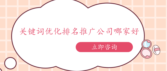 關鍵詞優化排名推廣公司哪家好