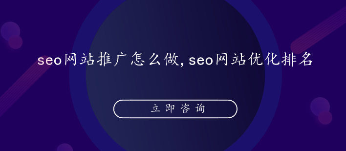 seo網站推廣怎么做,seo網站優化排名