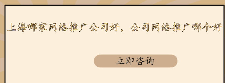 上海哪家網絡推廣公司好，公司網絡推廣哪個好